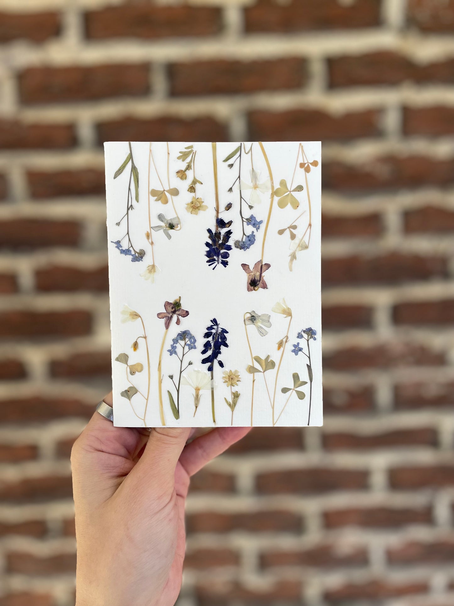 Carte de Fleurs Pressées - “À l’envers”