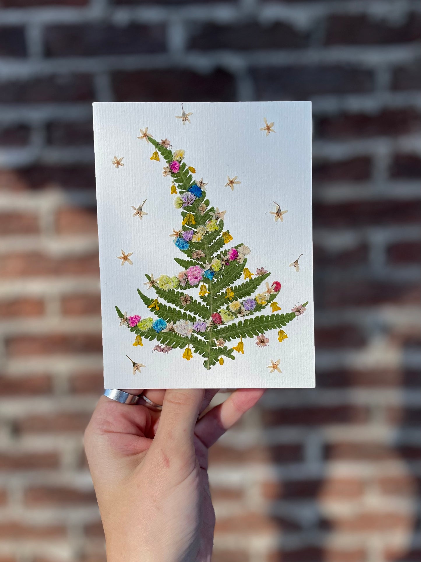 Carte de Fleurs Pressées - Fougère de Noël
