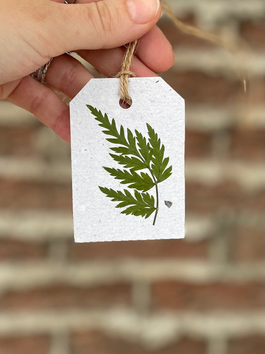 Fern Pressed Flower Gift Tag