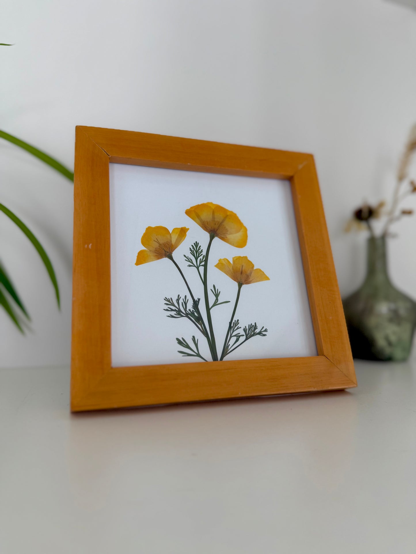 Yellow Poppy - Pressed Flower Frame