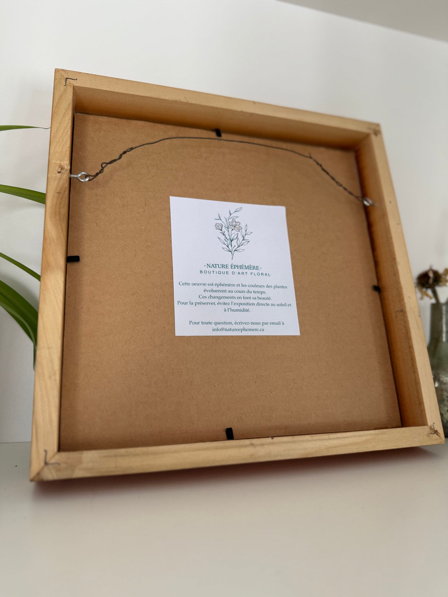 Cosmos Circle - Pressed Flower Frame