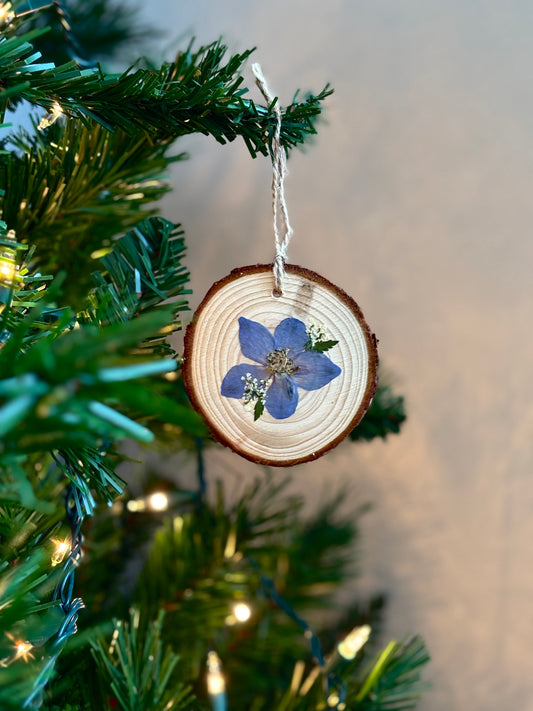 Ornement Fleurs Pressées - Delphinium