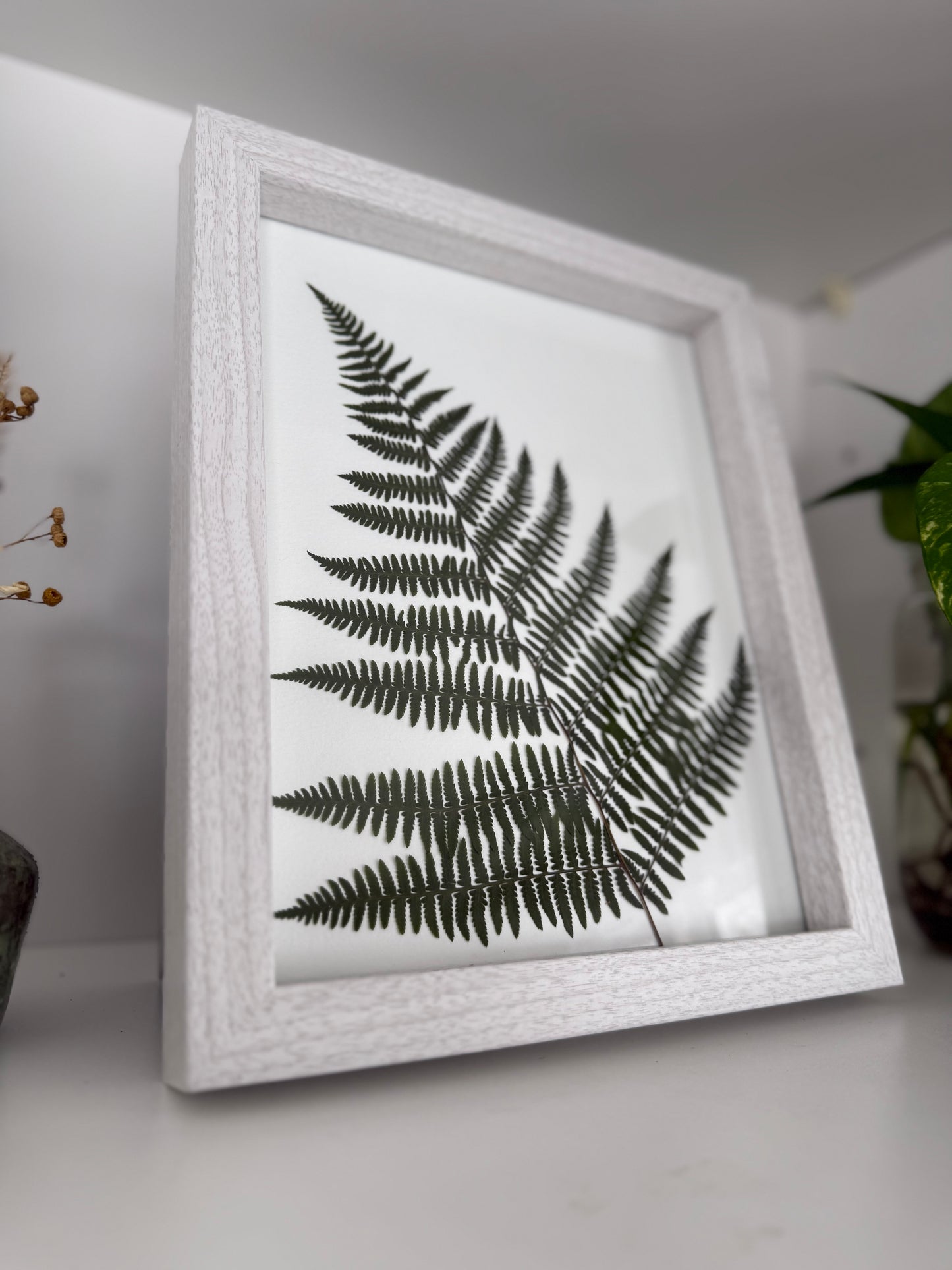 Fern - Pressed Flower Frame