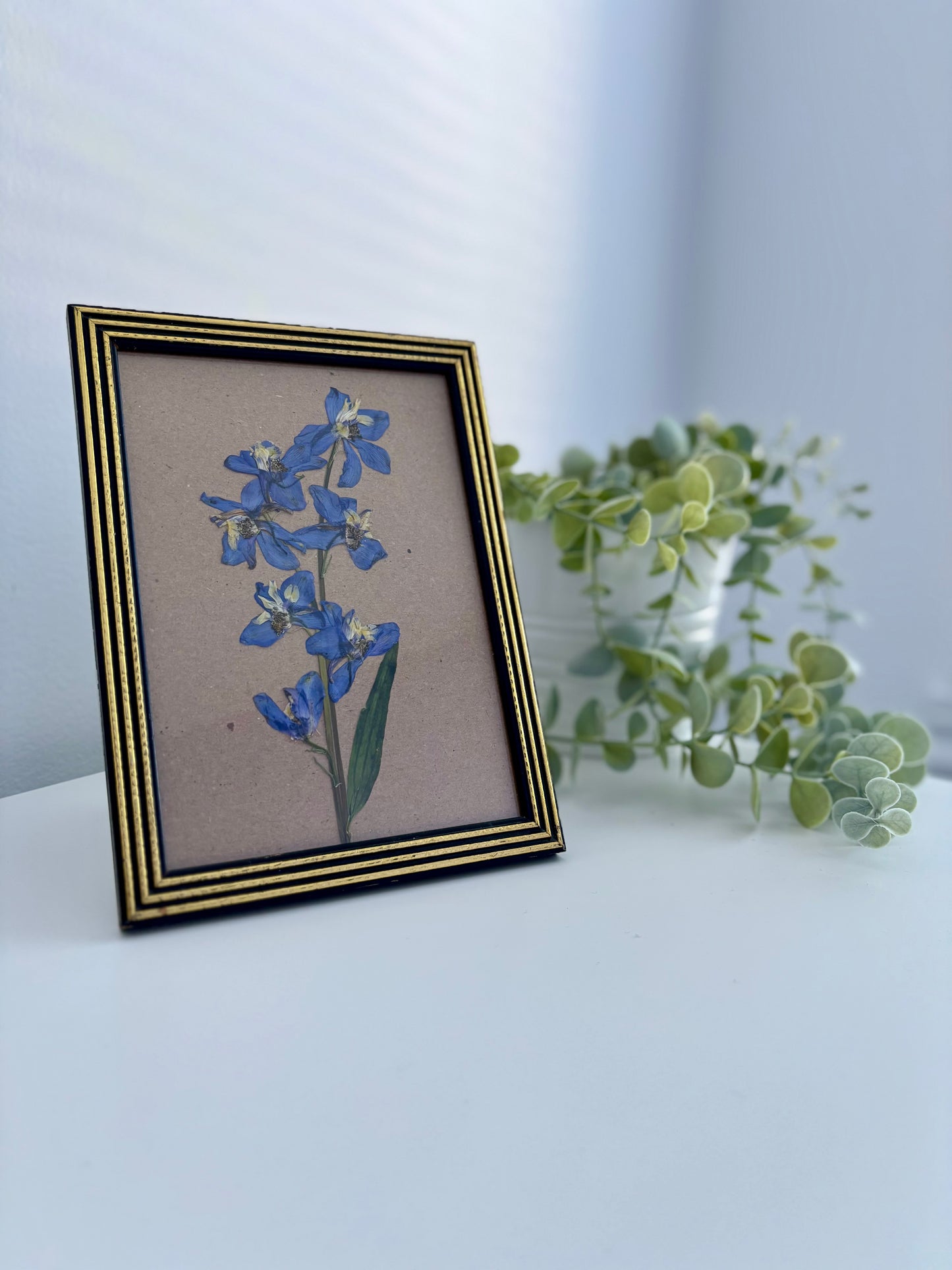 Delphinium - Pressed Flower Frame