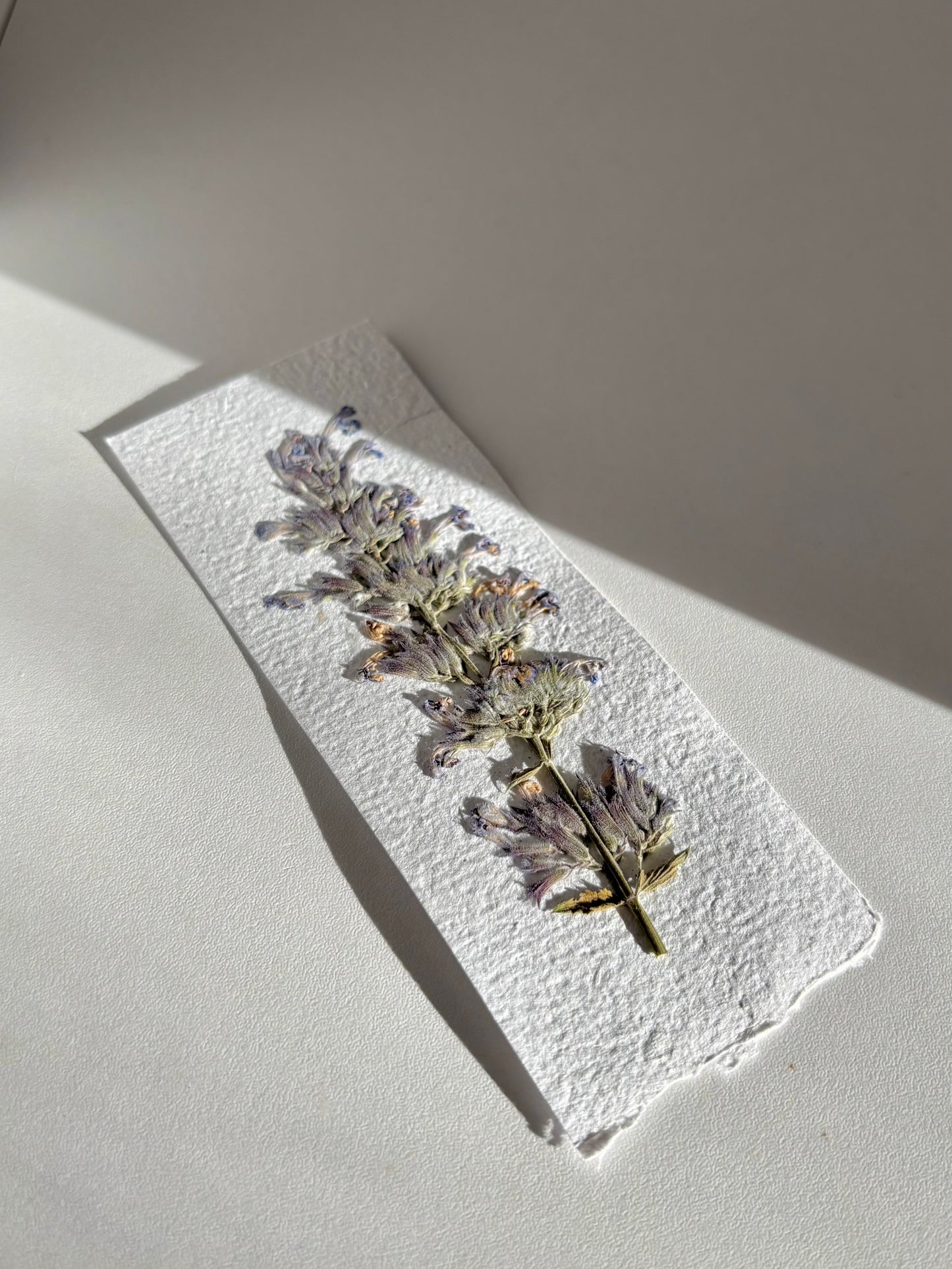 Plantable Bookmark