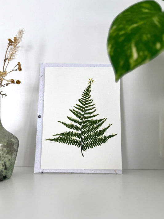 Christmas Tree - Pressed Flower Greeting Card