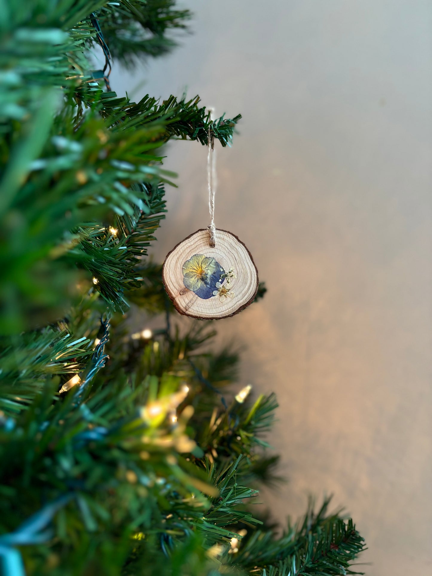 Ornement Fleurs Pressées - Pensée et Fraise