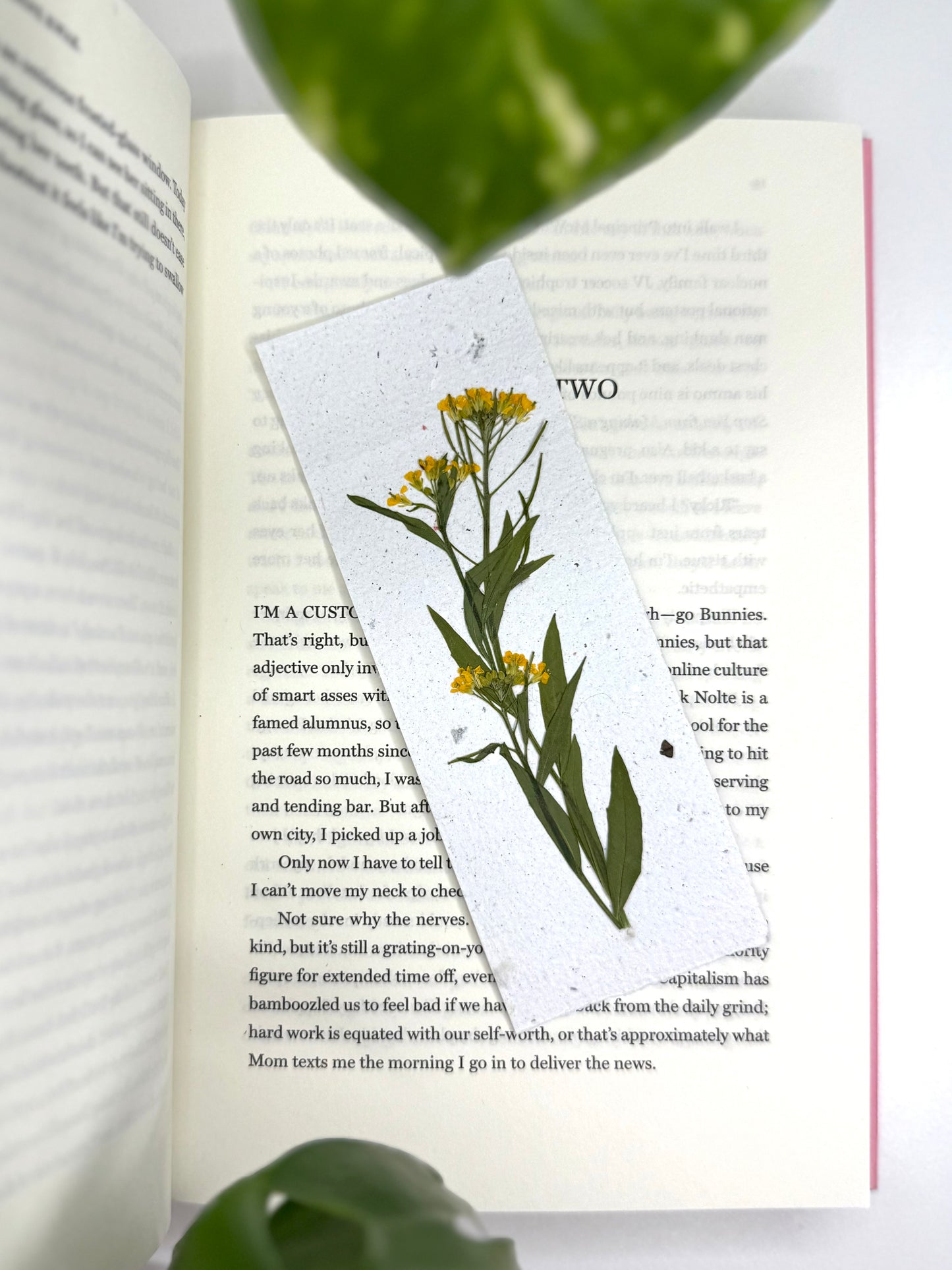 Wild Mustard - Plantable Bookmark