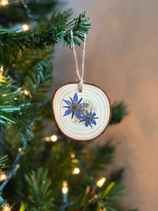 Ornement Fleurs Pressées - Bourraches