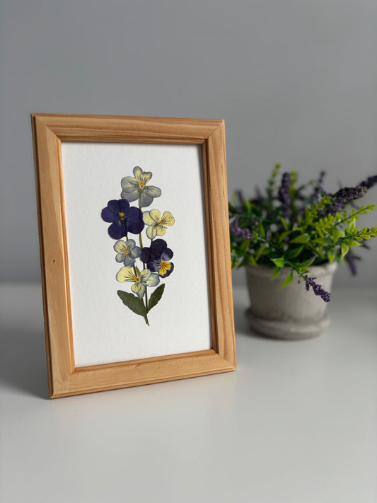 Bouquet Pensées - Cadre de Fleurs Pressées