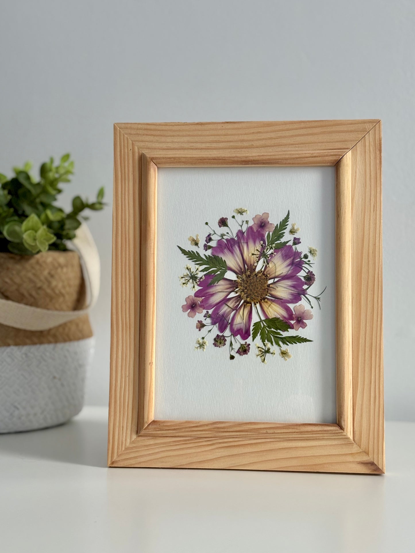 Cosmos - Cadre de Fleurs Pressées