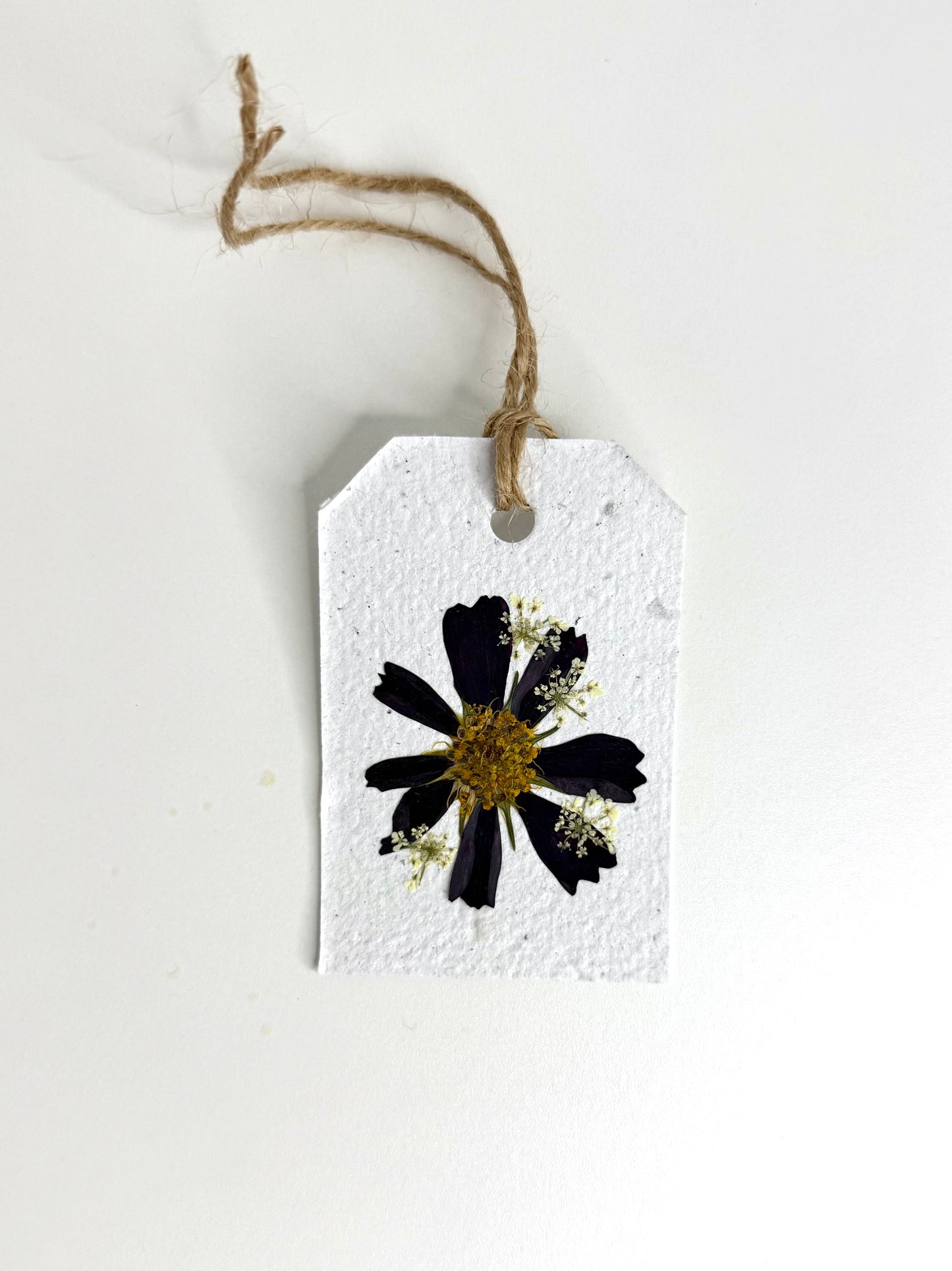 Cosmos Burgundy - Plantable Gift Tag