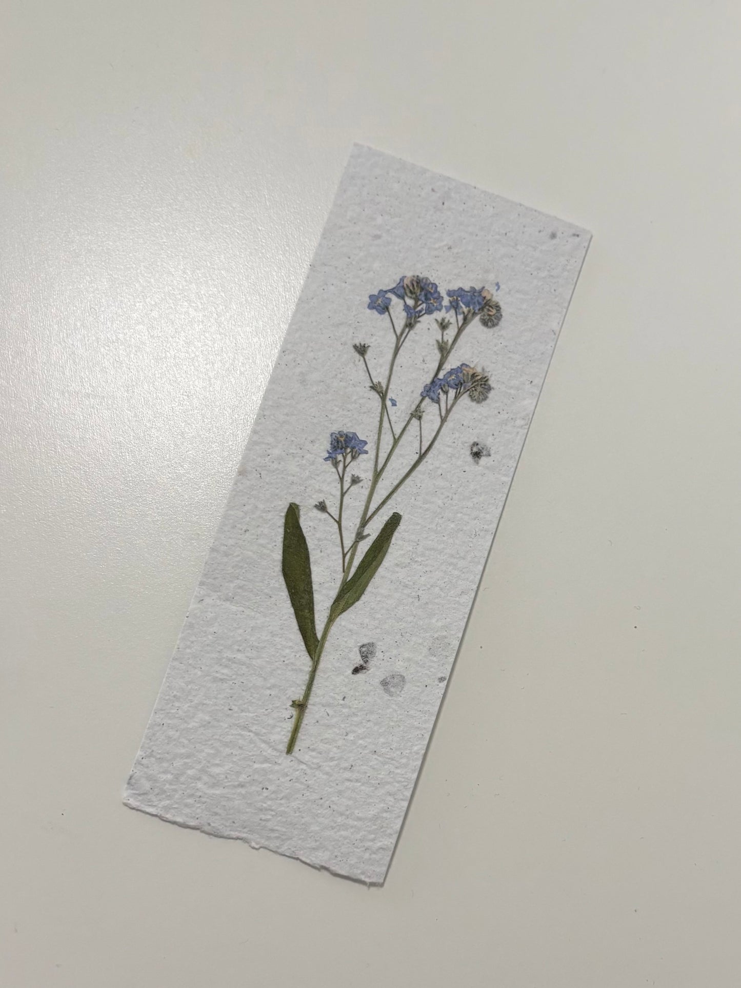 Plantable Bookmark - Forget Me Not