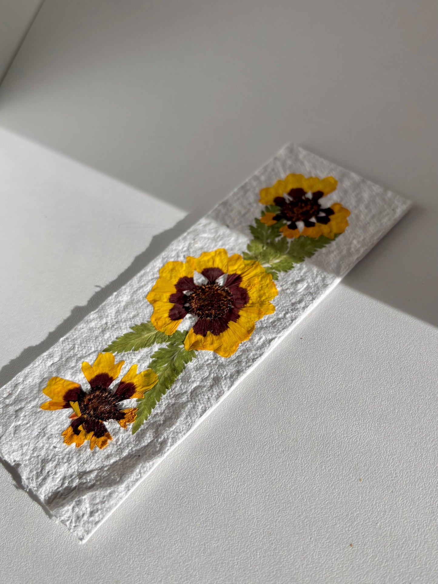 Plantable Bookmark - Coreopsis