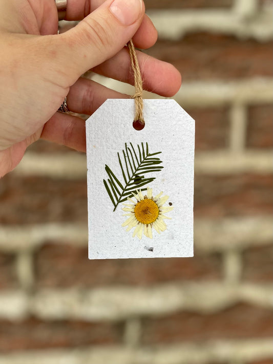 Daisy Pressed Flower Gift Tag