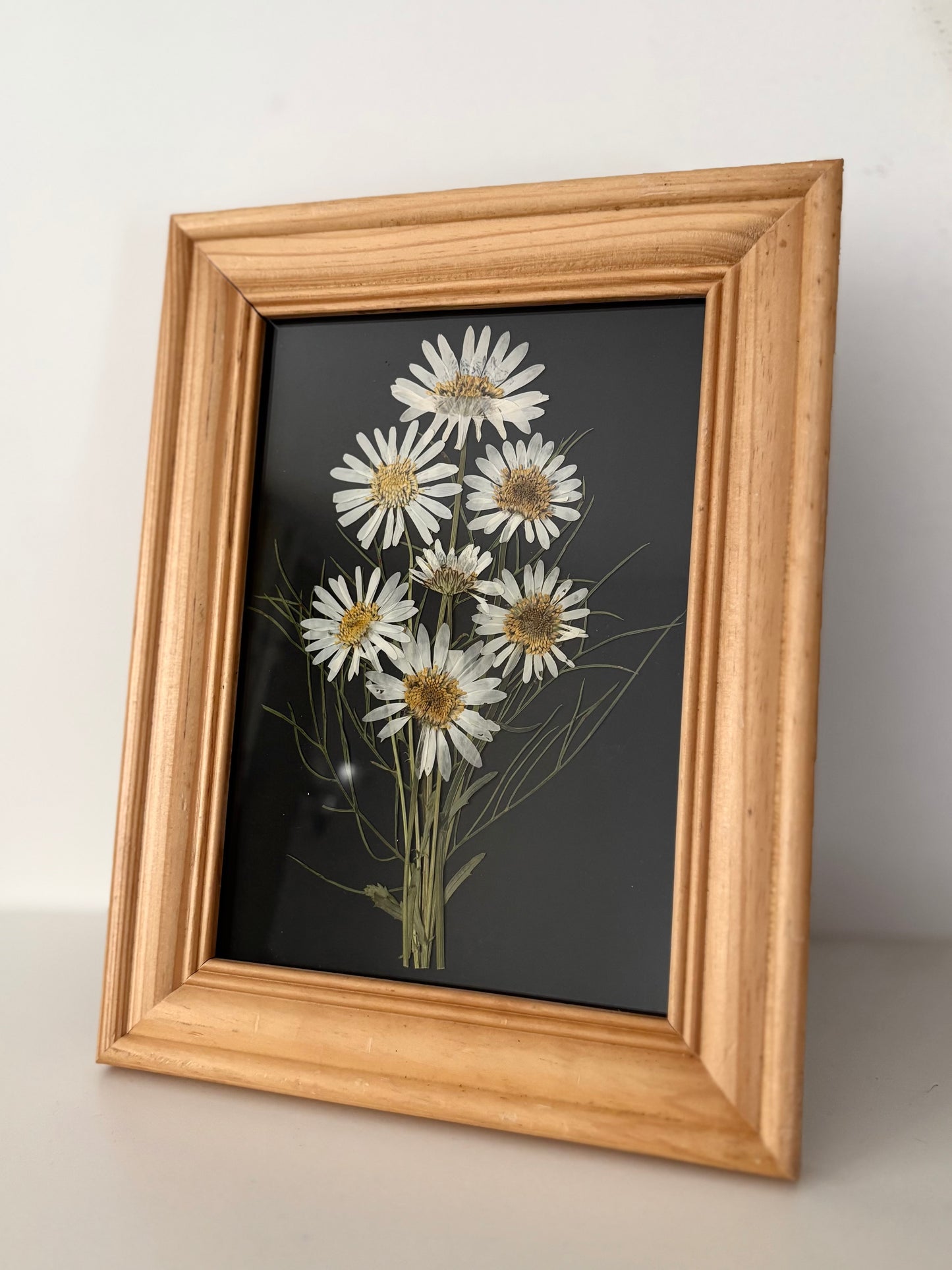 Cadre de fleurs pressées - Bouquet de marguerites sauvages