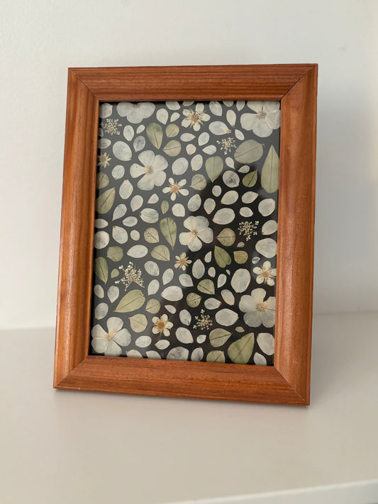 Pressed Flower Frame - Phlox Mosaic