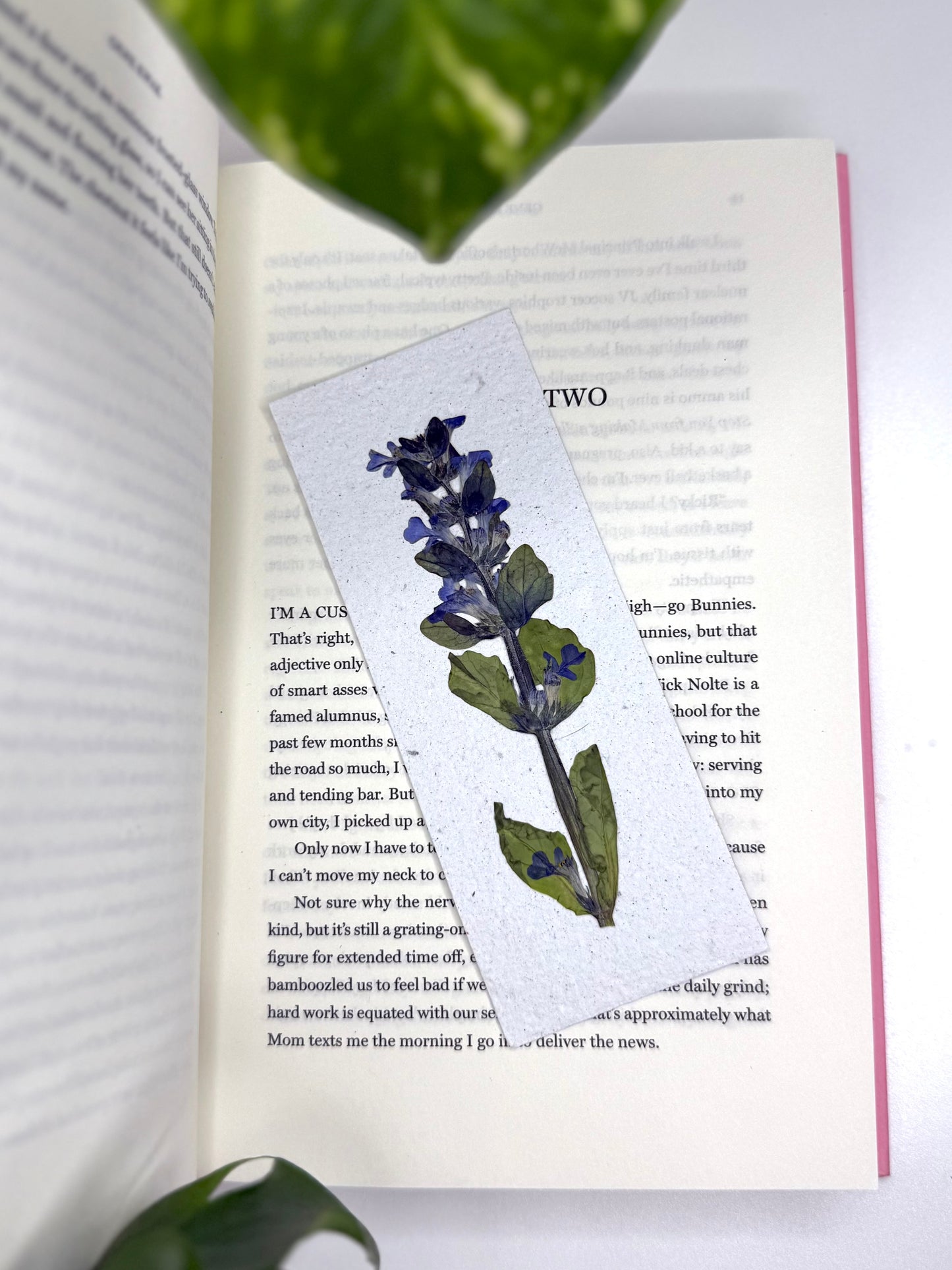 Bugleweed - Plantable Bookmark