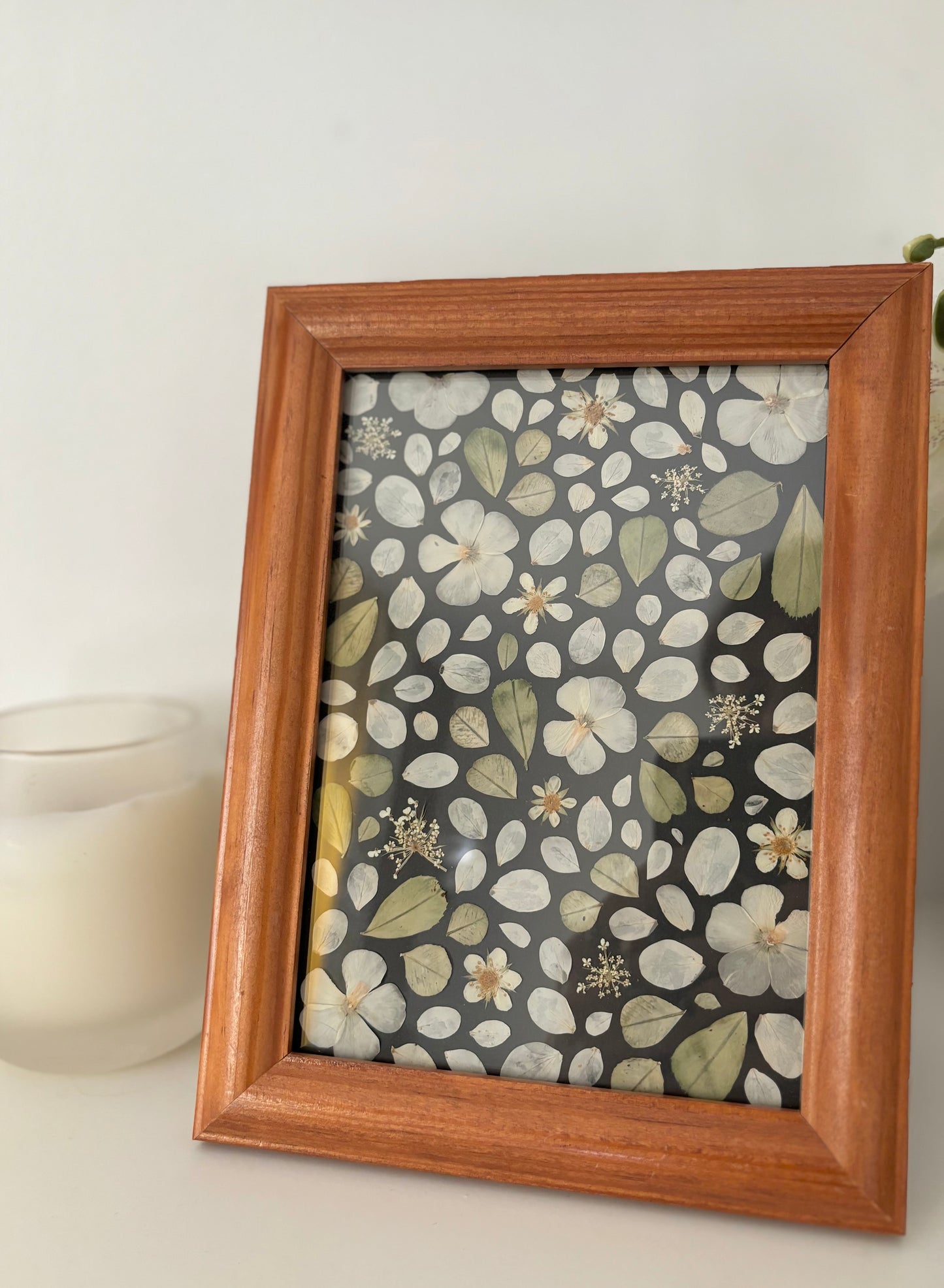 Pressed Flower Frame - Phlox Mosaic