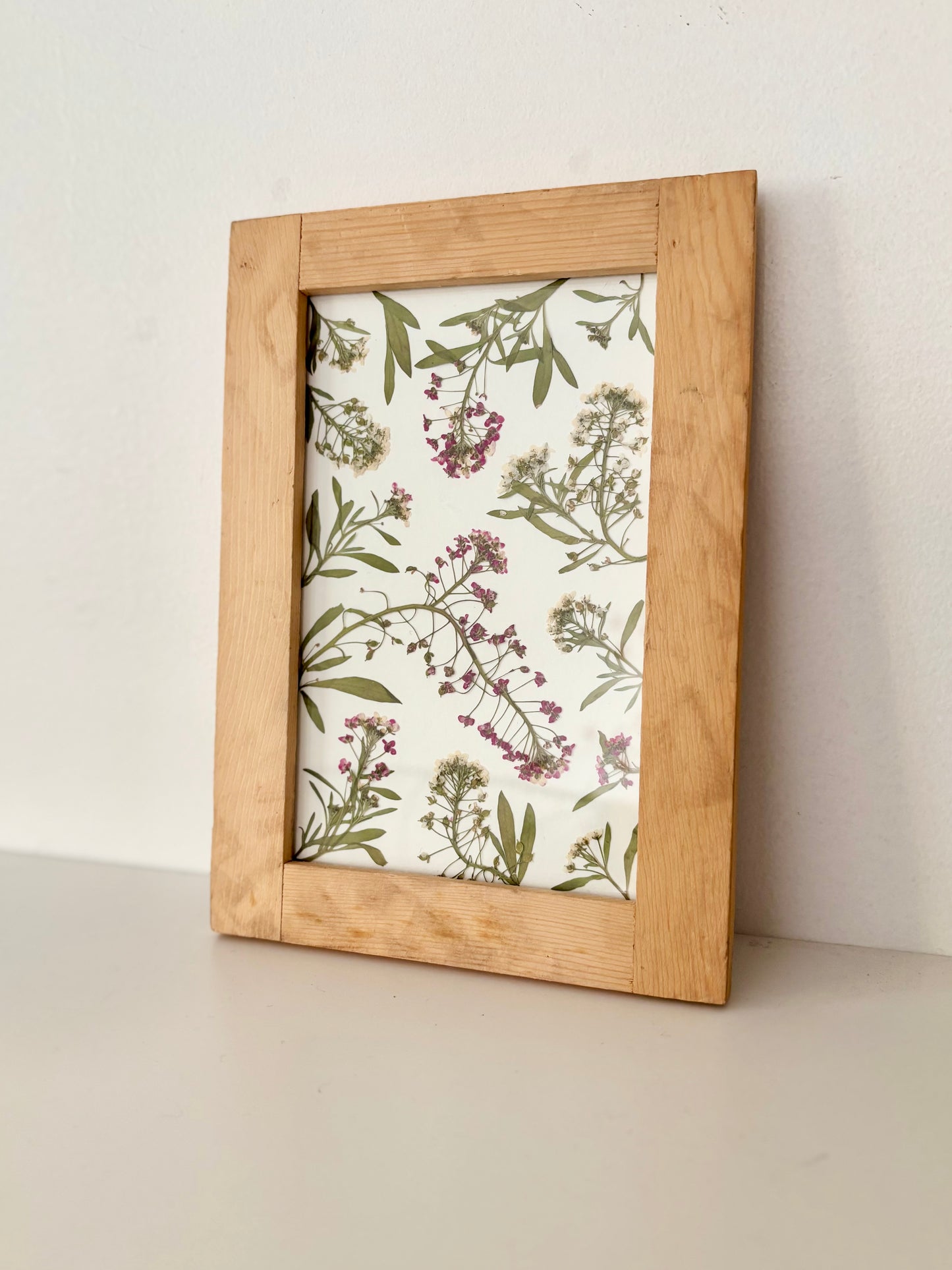 Alyssum - Pressed Flower Frame