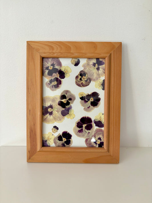 Pressed Flower Frame - Pansies