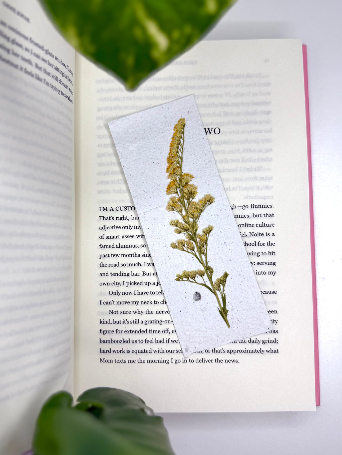 Goldenrod - Plantable Bookmark