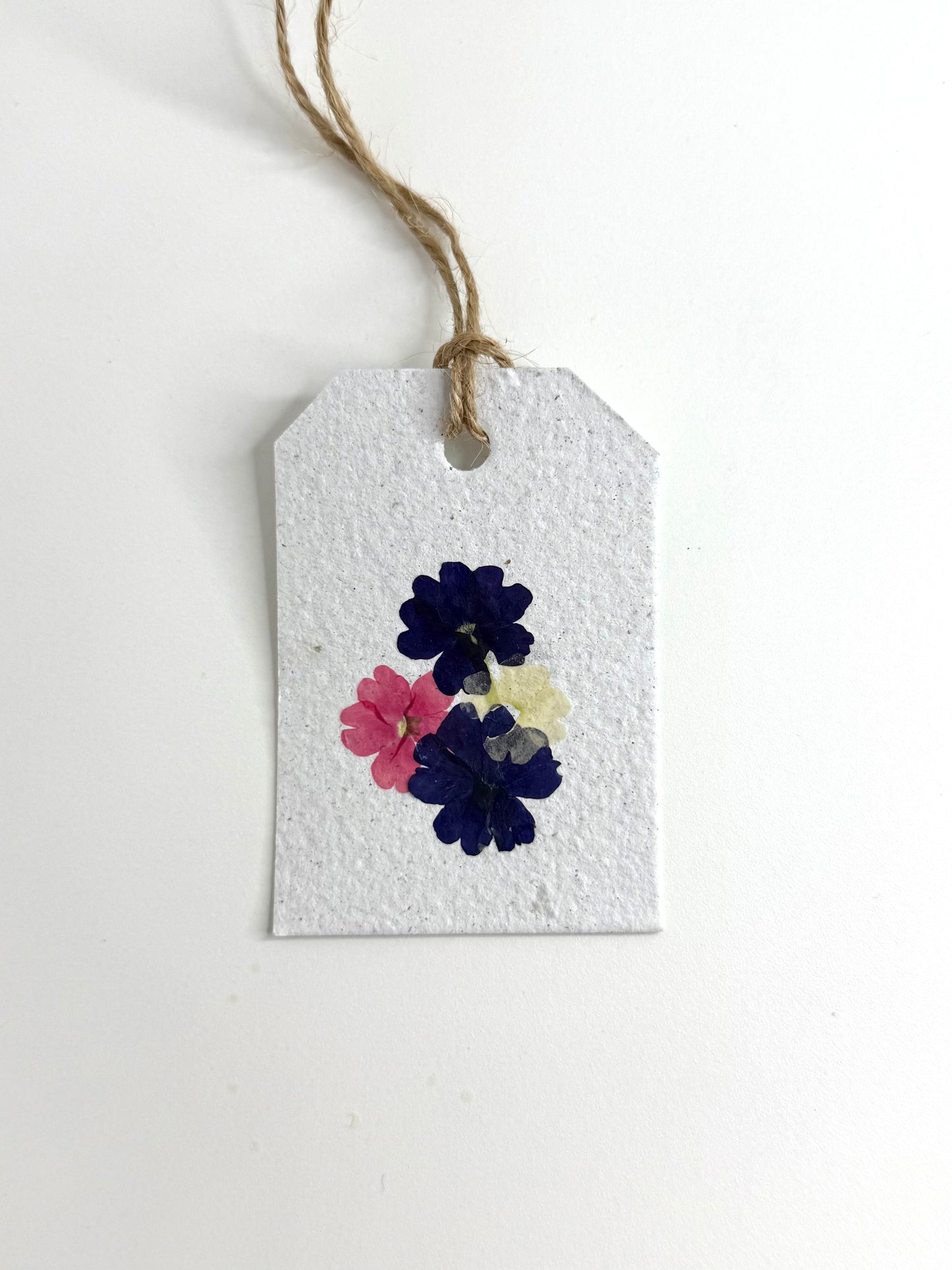 Blue Pink - Plantable Gift Tag
