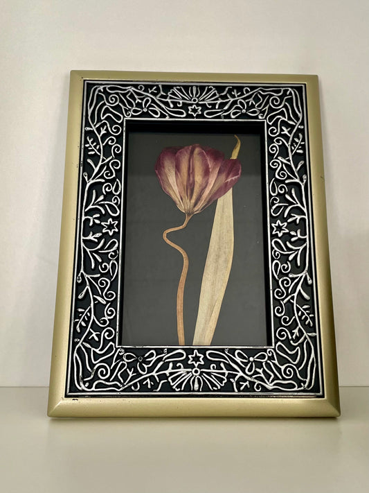 Tulip - Pressed Flower Frame