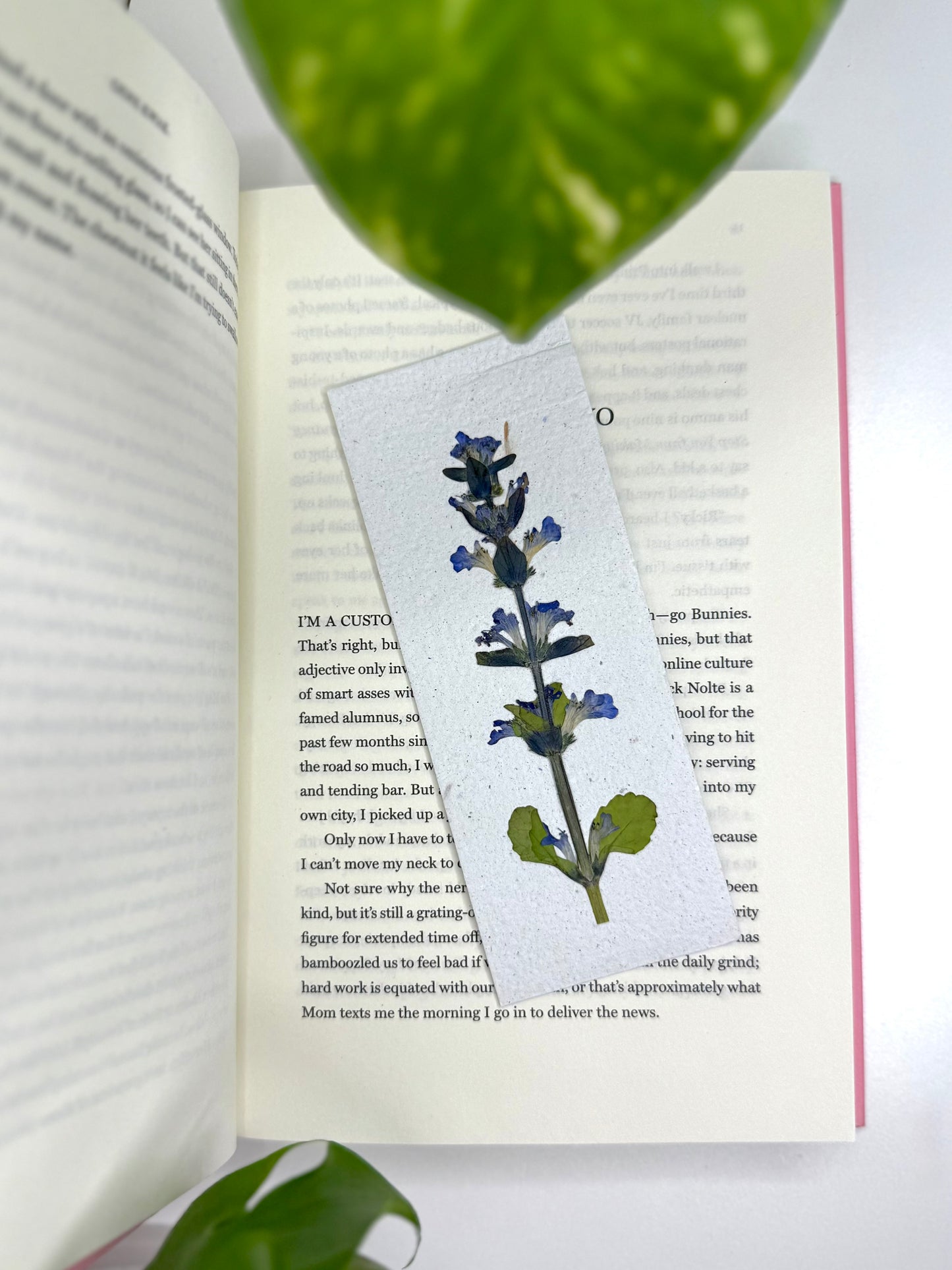 Bugleweed - Plantable Bookmark