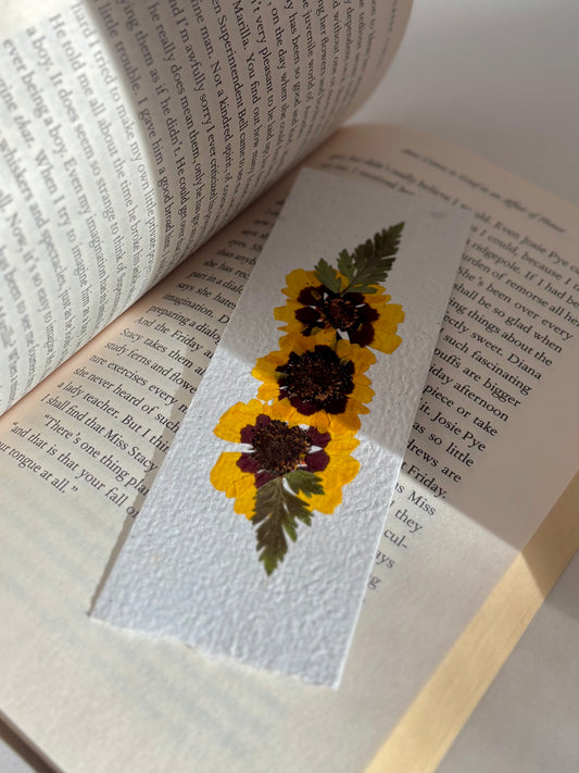 Plantable Bookmark - Coreopsis