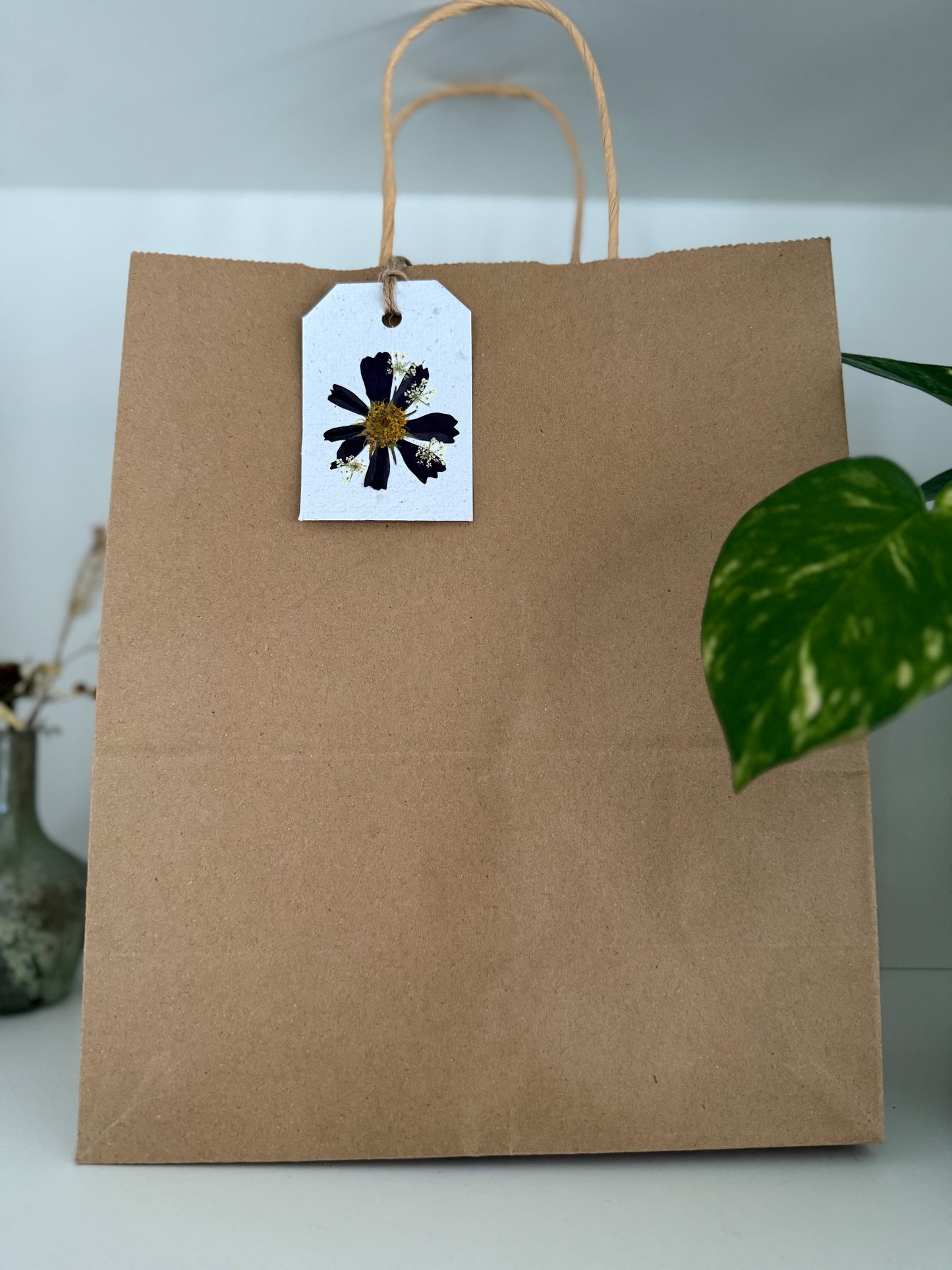 Cosmos Burgundy - Plantable Gift Tag