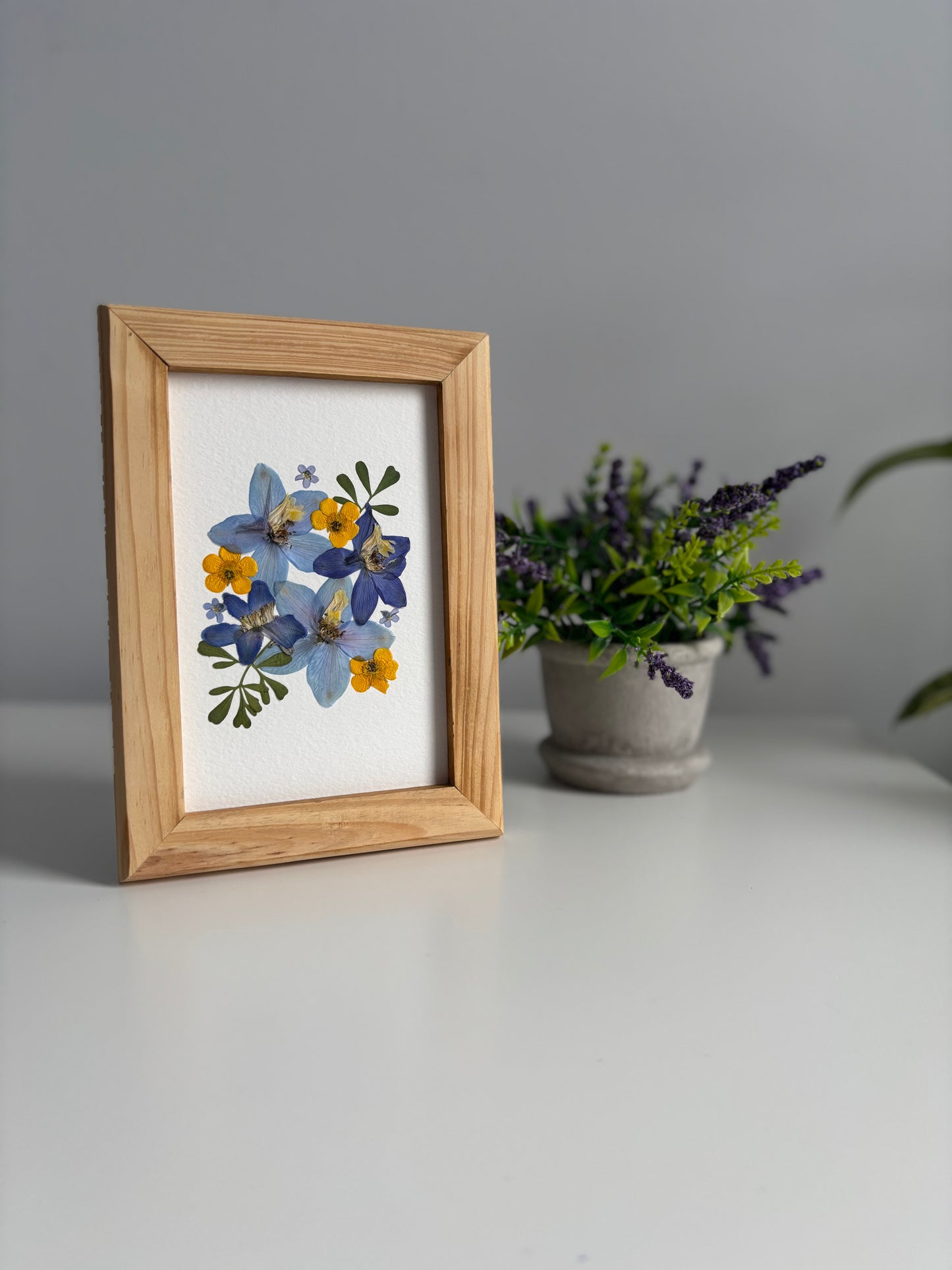 Delphinium - Cadre de Fleurs Pressées