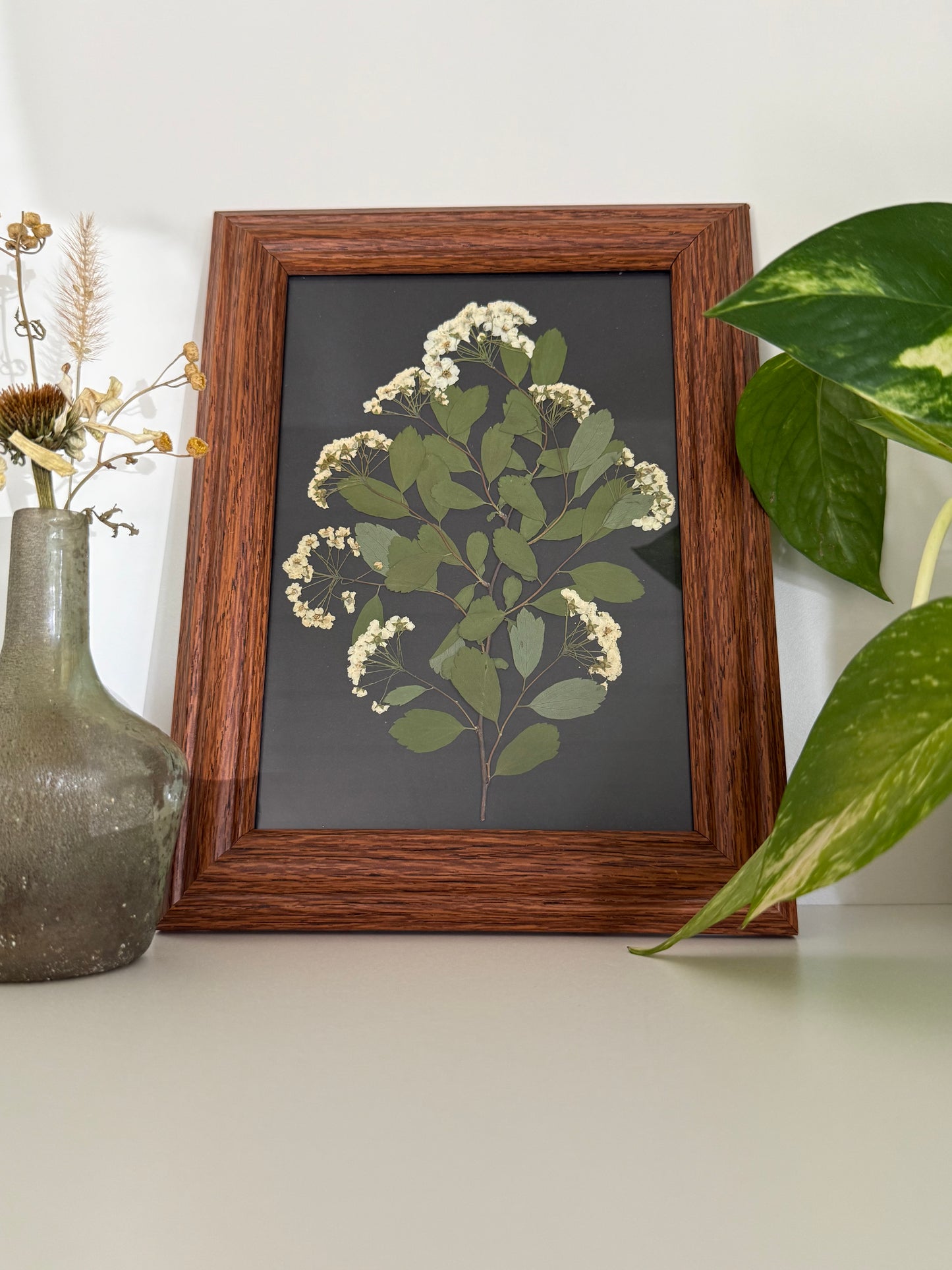 Bouquet Spirée - Cadre de Fleurs Pressées