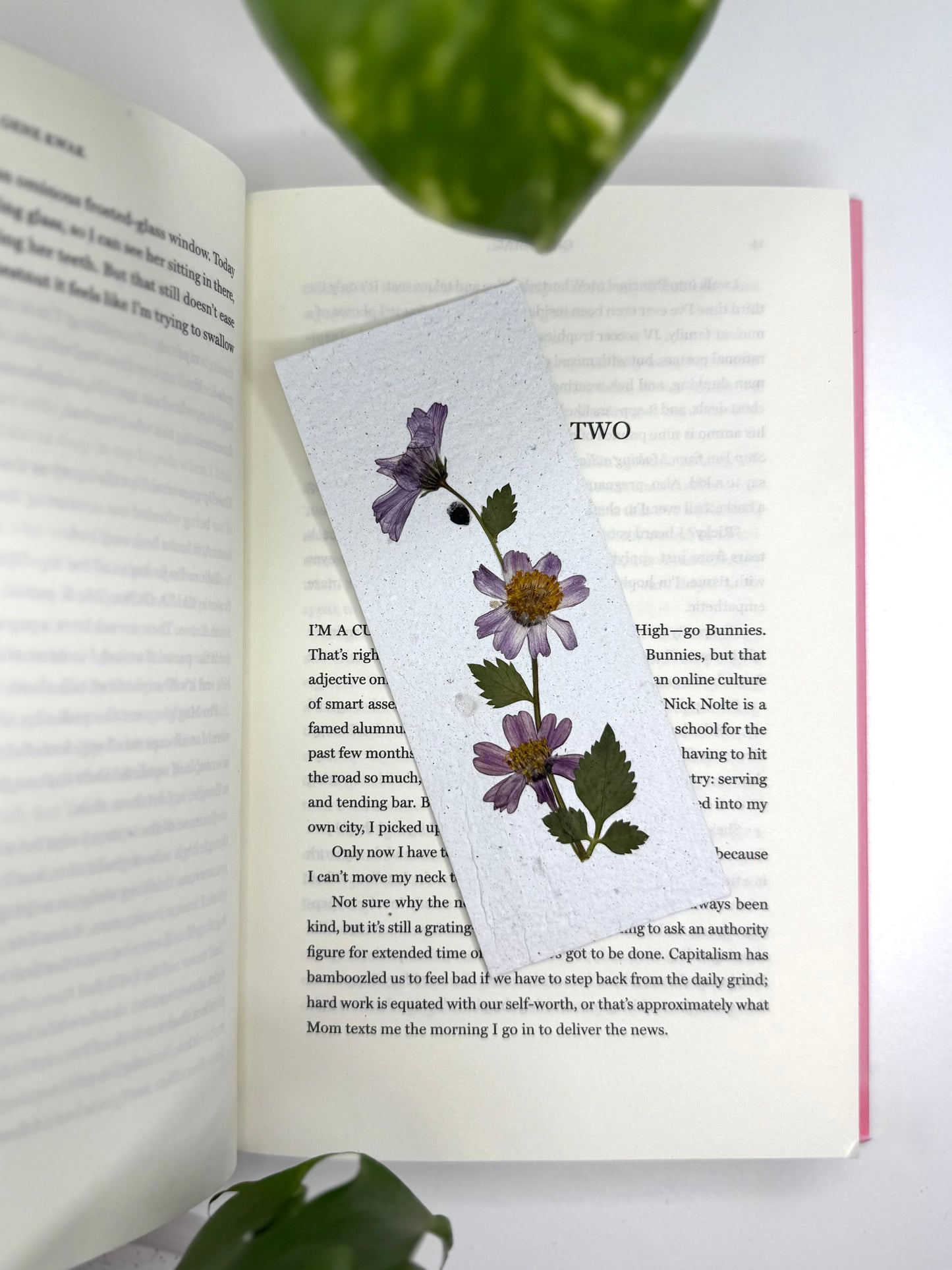 Bidens - Plantable Bookmark