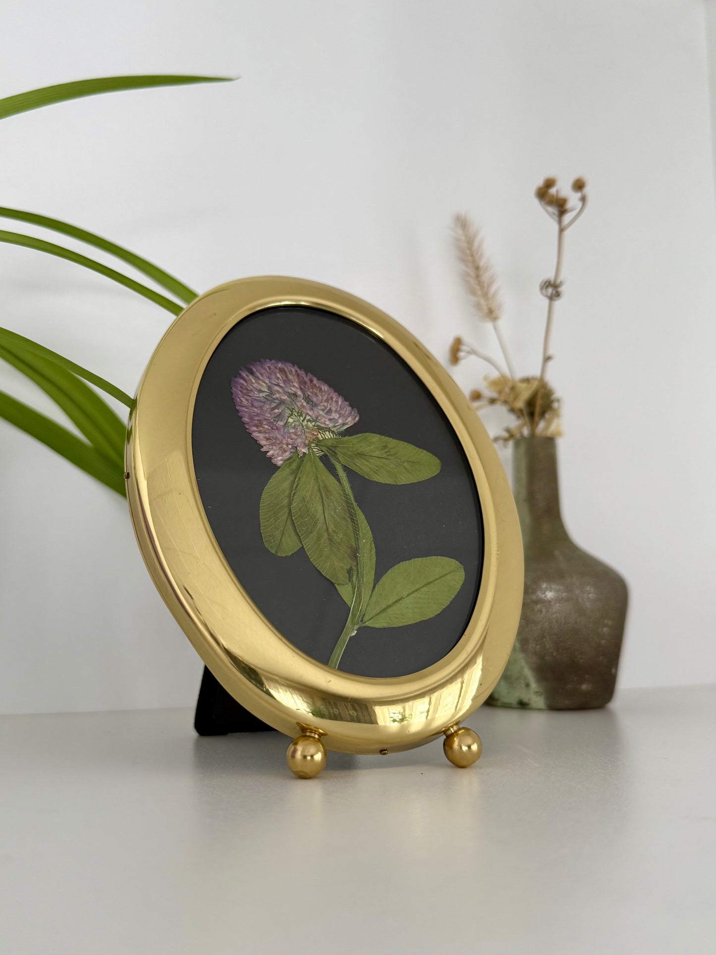 Clover - Pressed Flower Frame