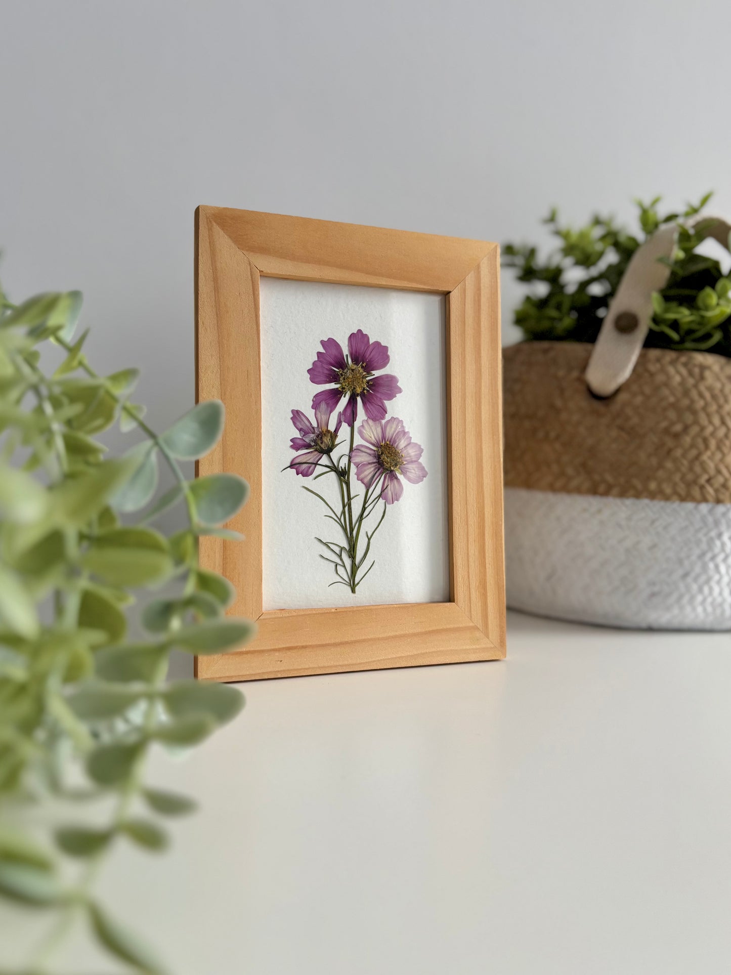 Petit Bouquet Cosmos - Cadre de Fleurs Pressées