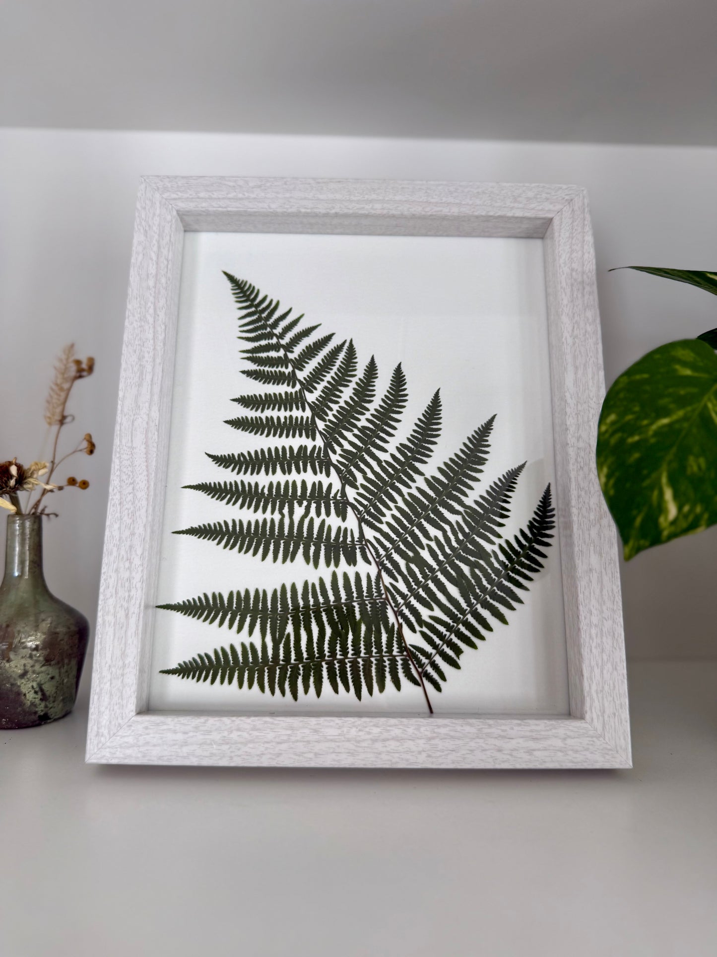 Fern - Pressed Flower Frame