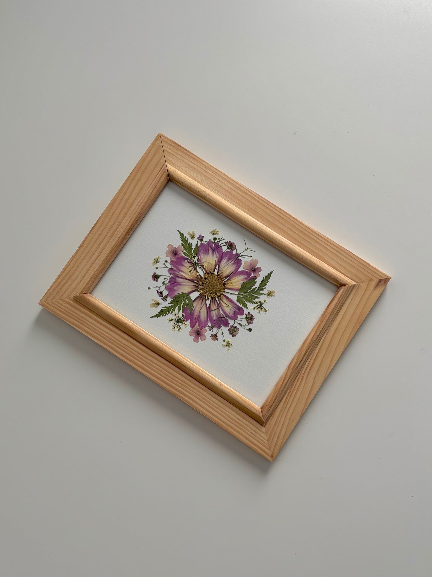 Cosmos - Cadre de Fleurs Pressées