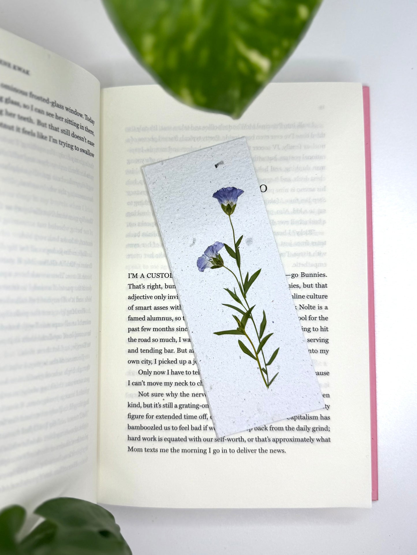 Flax - Plantable Bookmark