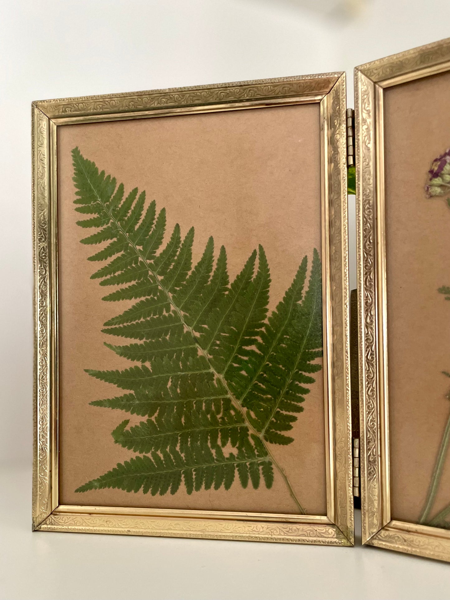 Fern/Yarrow - Pressed Flower Frame