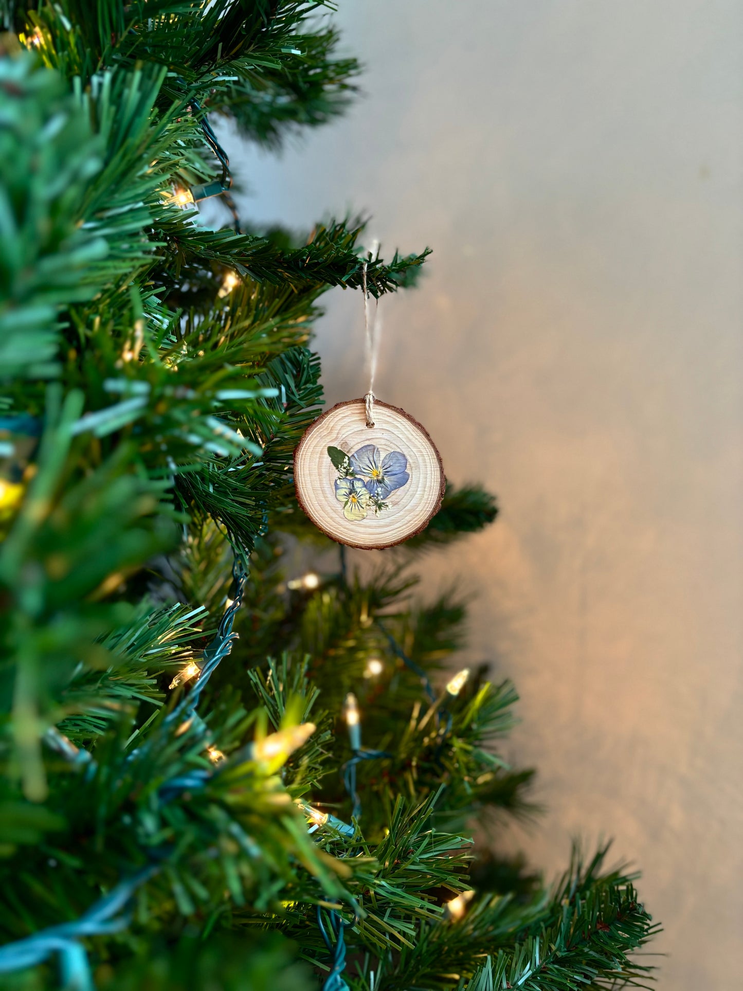 Ornement Fleurs Pressées - Pensées