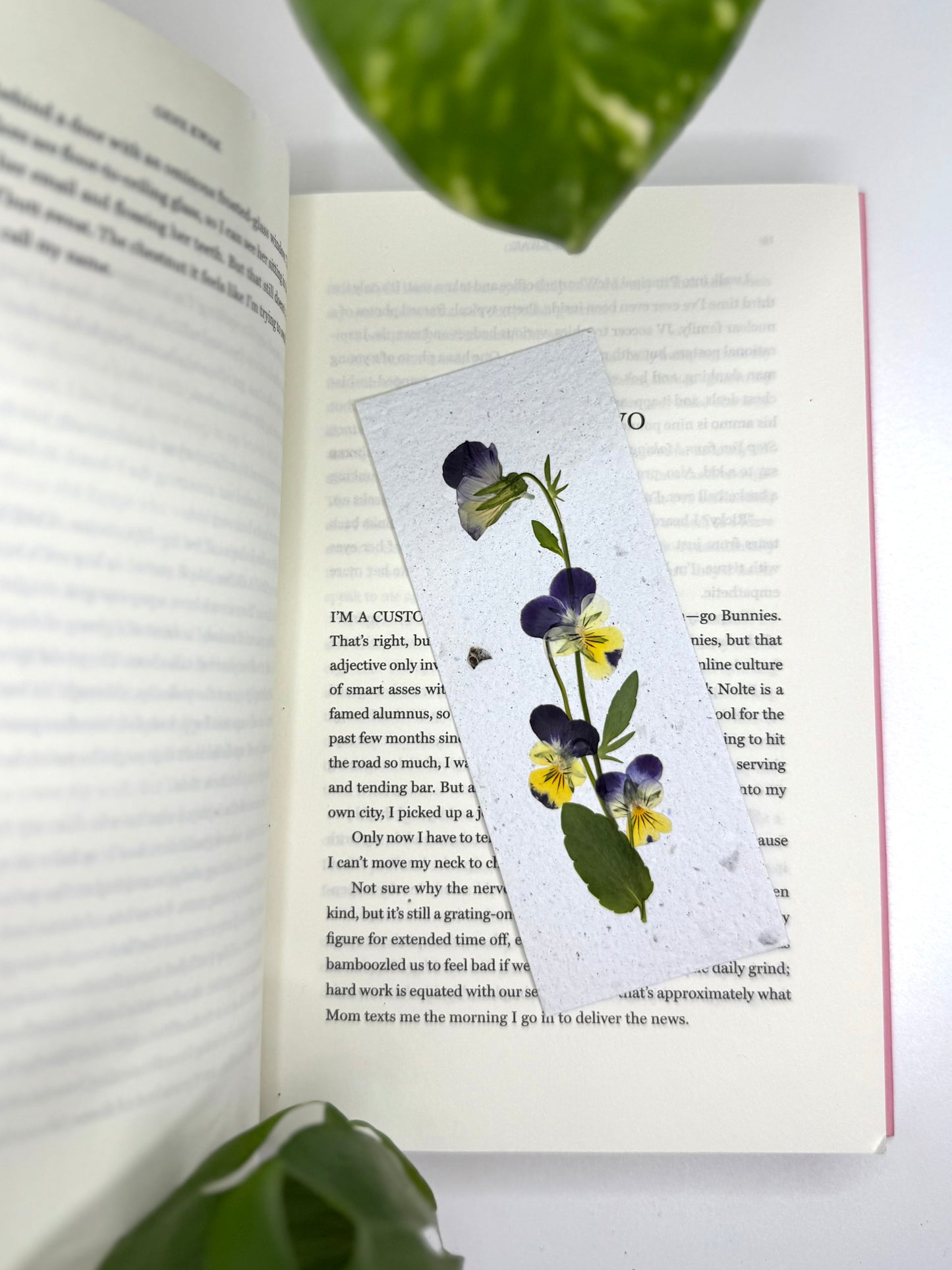 Pansies - Plantable Bookmark