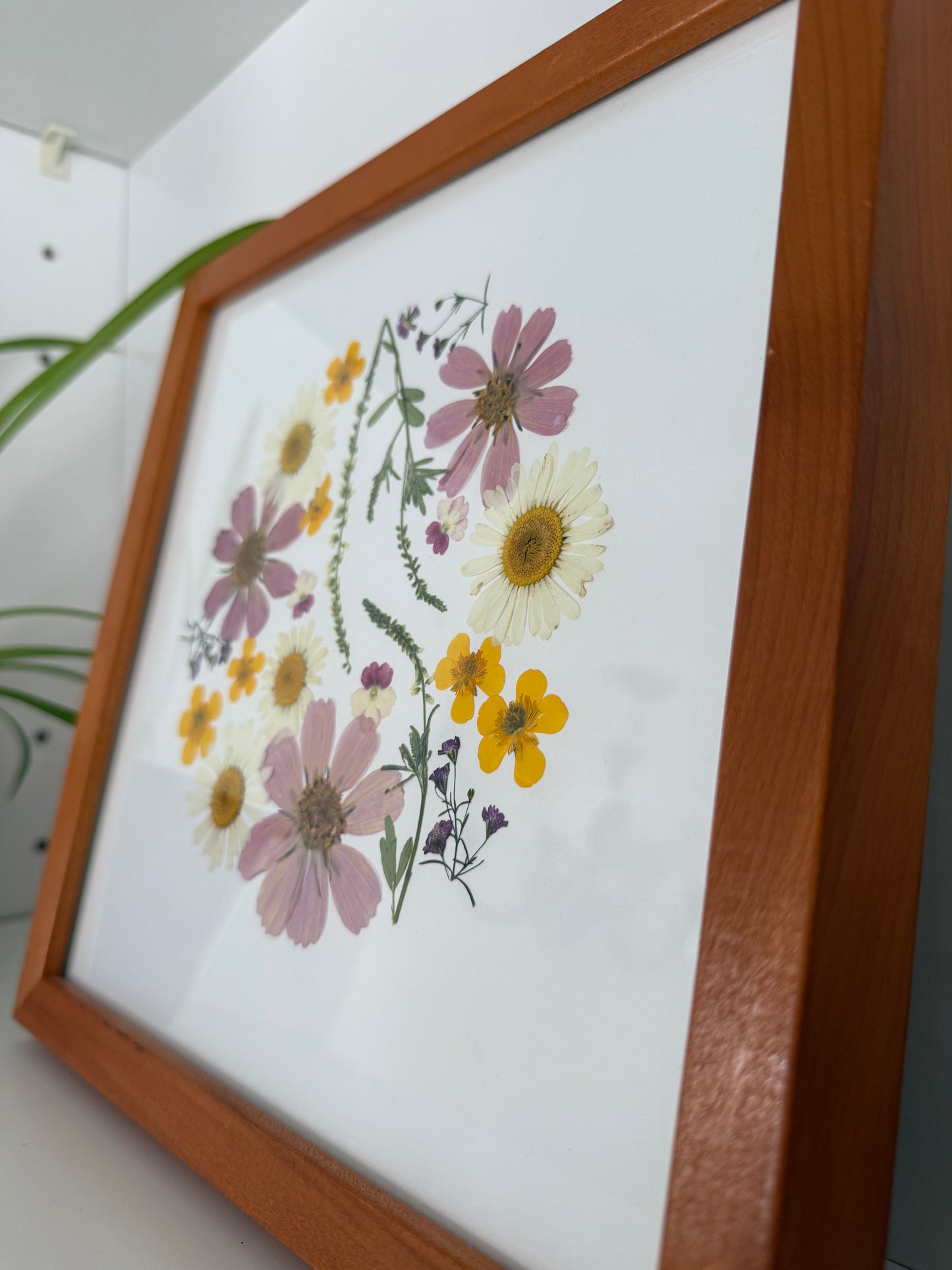 Cosmos Circle - Pressed Flower Frame
