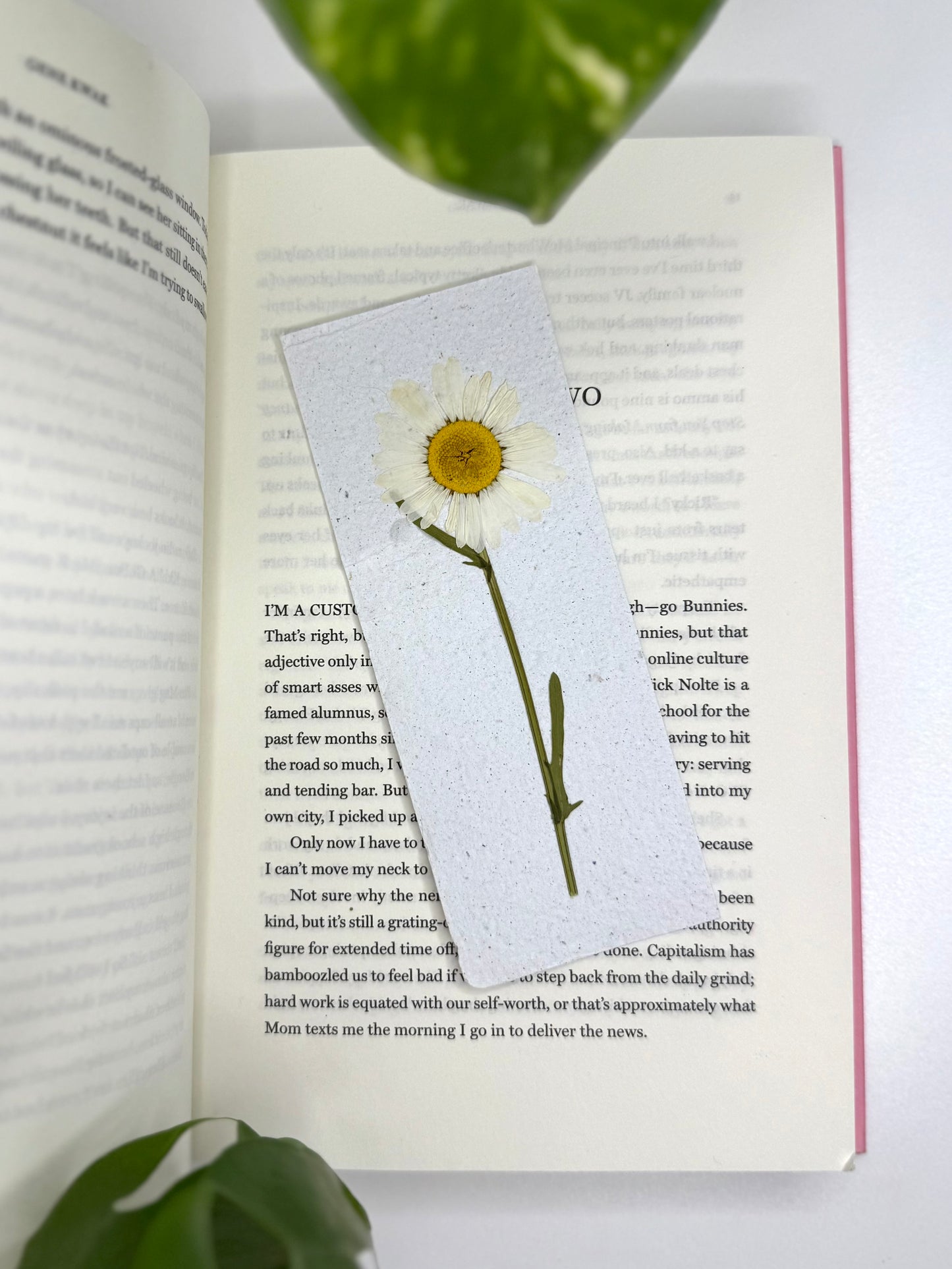 Daisy - Plantable Bookmark