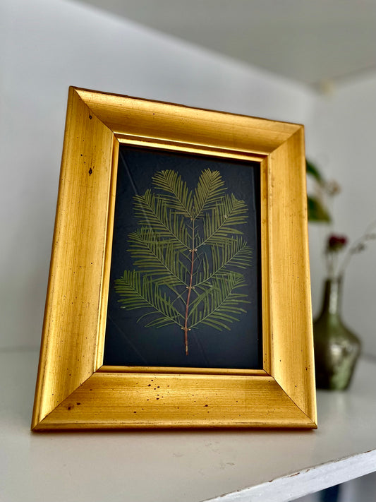 Christmas #2 - Pressed Flower Frame