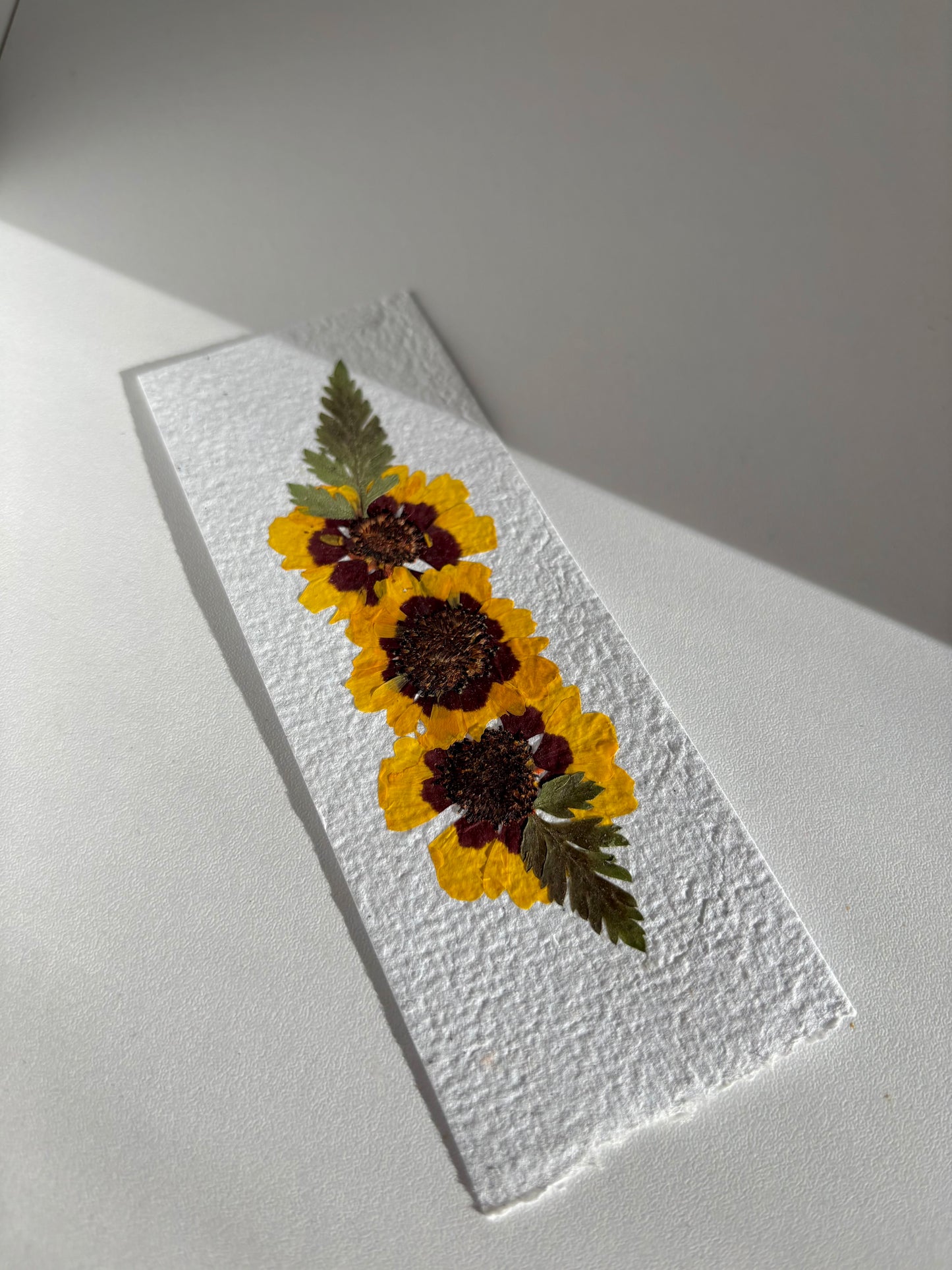 Plantable Bookmark - Coreopsis