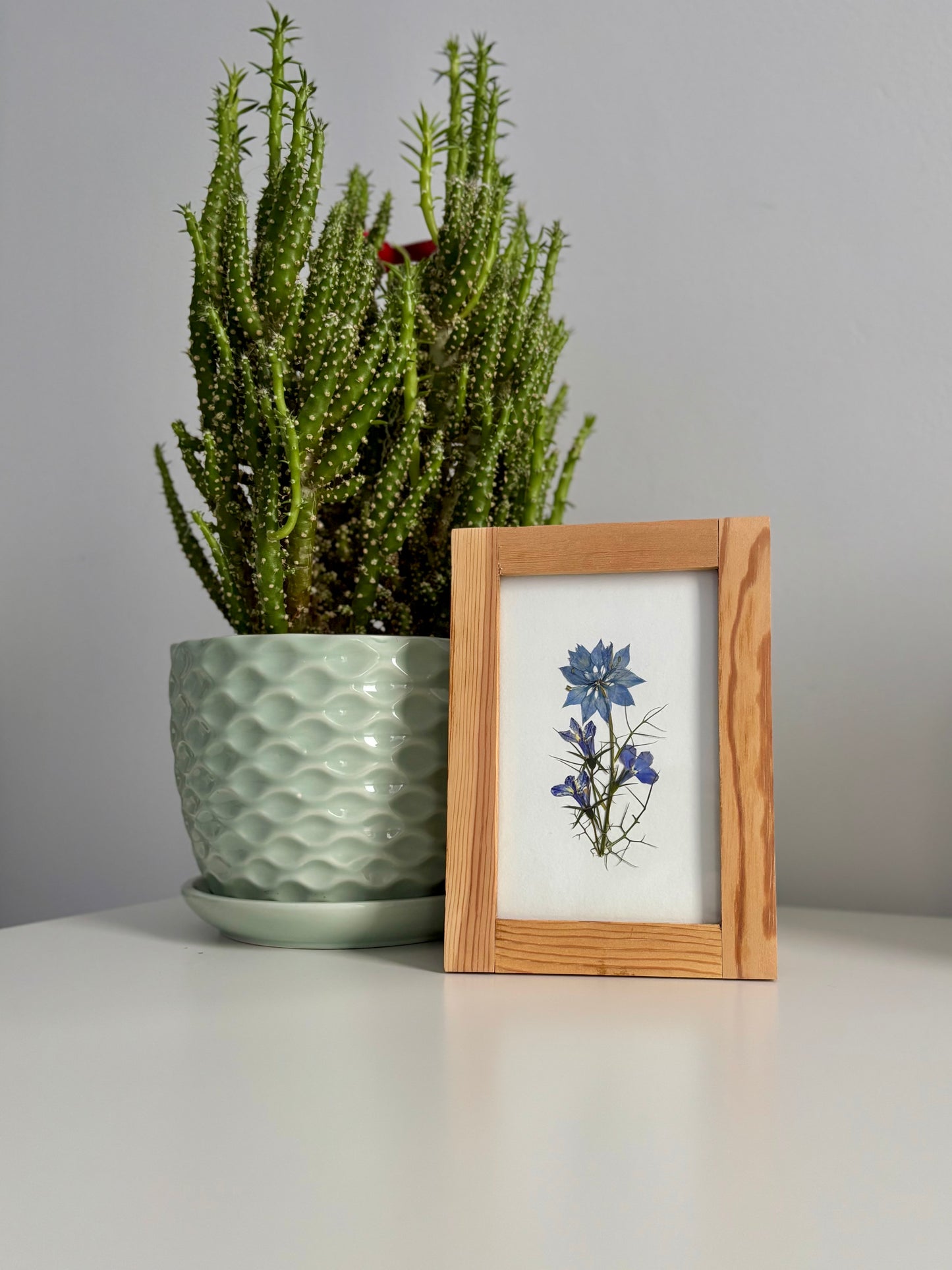 Bouquet Lobélies et Nigelle - Cadre de Fleurs Pressées