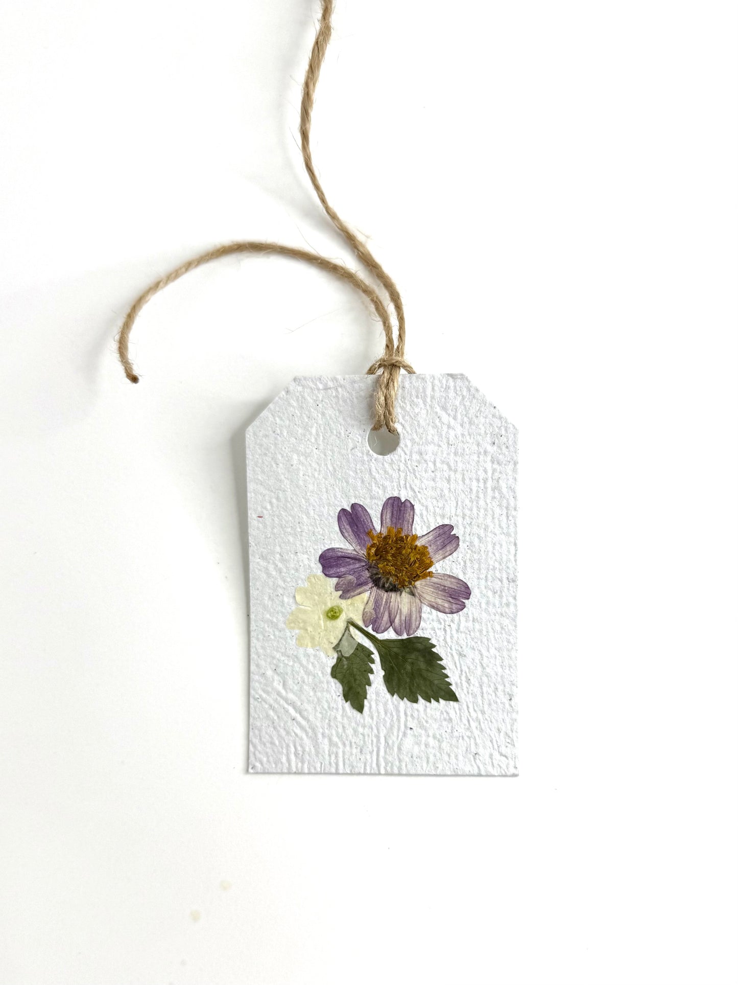 Bidens - Plantable Gift Tag