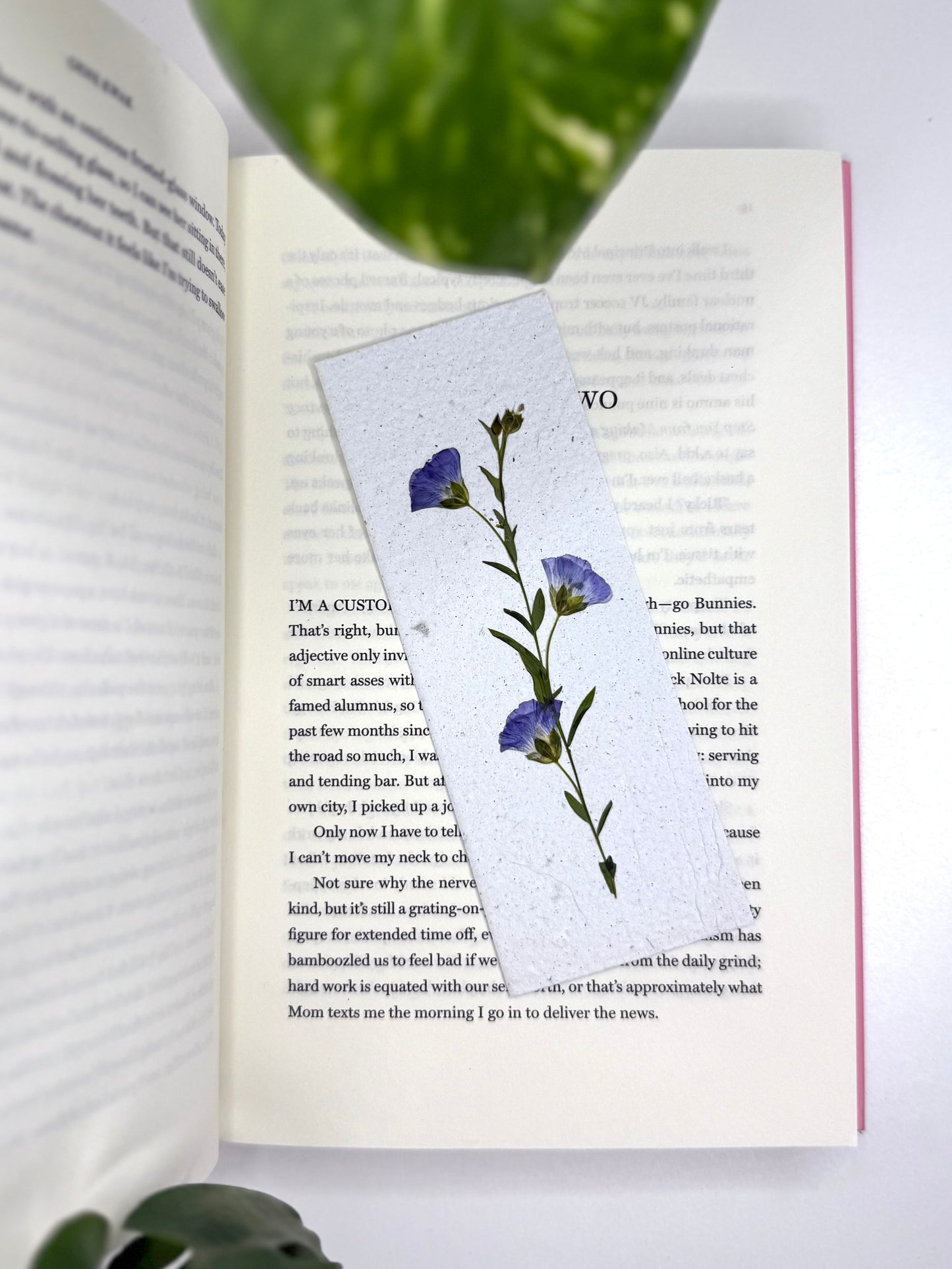 Flax - Plantable Bookmark