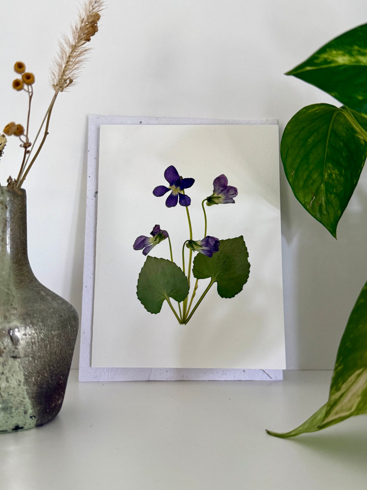 Violettes - Carte de Souhaits de Fleurs Pressées